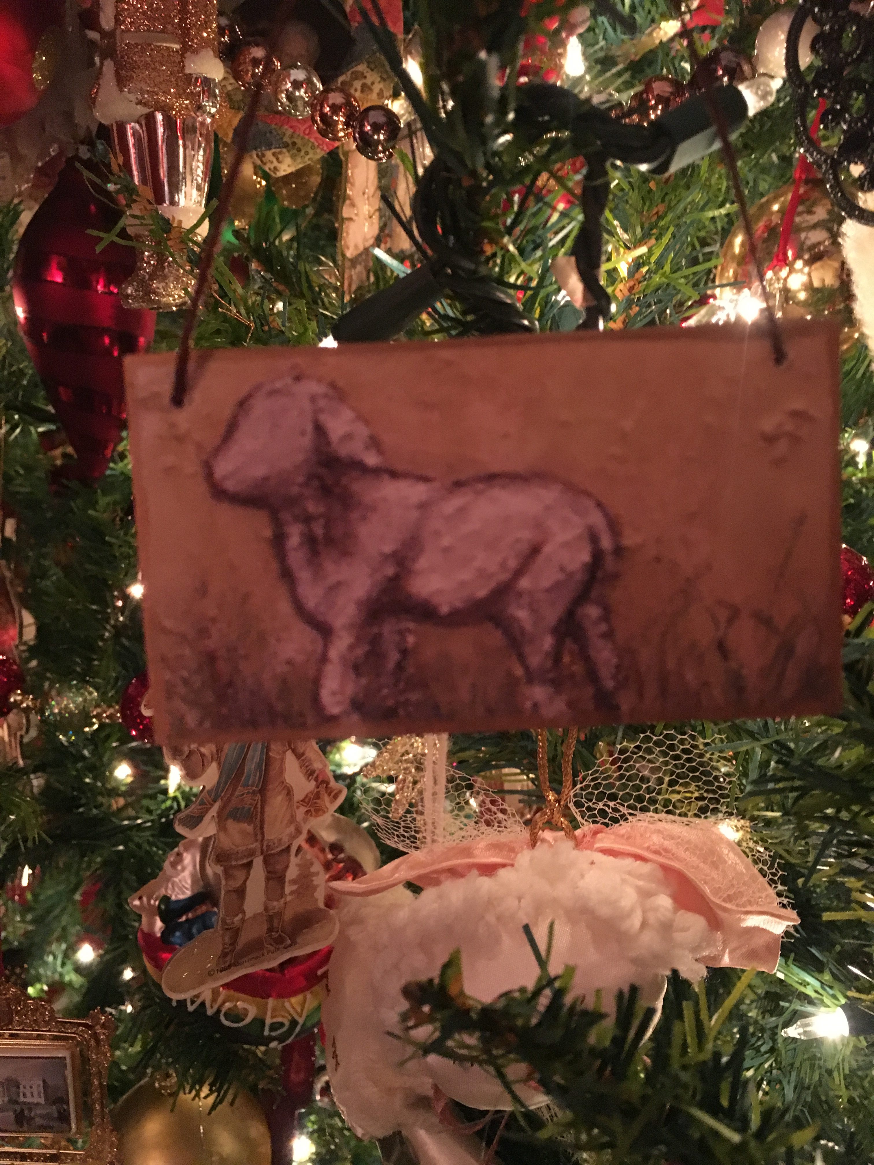 The Christmas Lamb